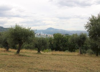 Foto 9 - Rustico Zona Galluccio, Folignano - foto 9