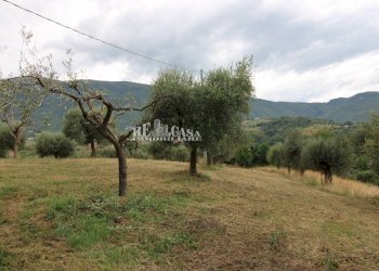 Foto 10 - Rustico Zona Galluccio, Folignano - foto 10