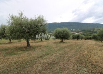 Foto 19 - Rustico Zona Galluccio, Folignano - foto 19