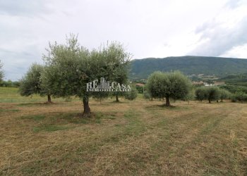 Foto 20 - Rustico Zona Galluccio, Folignano - foto 20