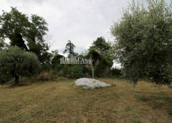 Foto 23 - Rustico Zona Galluccio, Folignano - foto 23