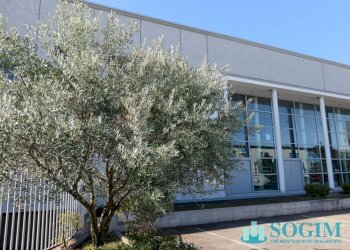 Foto 12 - Capannone via delle Industrie
 
20, Lissone - foto 12