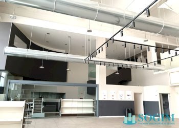 Foto 3 - Capannone via delle Industrie
 
20, Lissone - foto 3