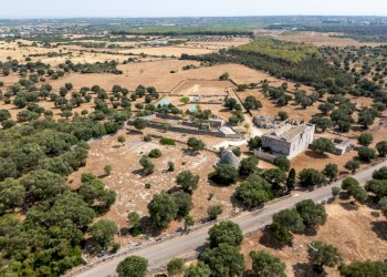 Foto 4 - Rustico Contrada Valente
 
snc, Crispiano - foto 4