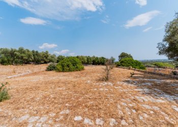 Foto 33 - Rustico Contrada Valente
 
snc, Crispiano - foto 33