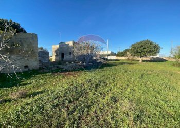 Giardino - Rustico Strada Donna Domenica
 
43, Nardò - foto 2