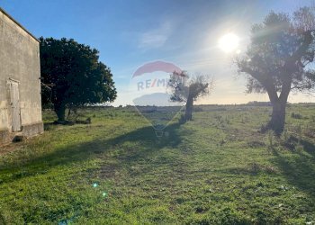 Giardino - Rustico Strada Donna Domenica
 
43, Nardò - foto 24