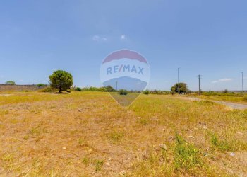 Giardino - Terreno edificabile Via Foscolo, Vernole - foto 2