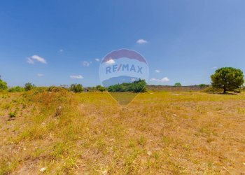 Giardino - Terreno edificabile Via Foscolo, Vernole - foto 4