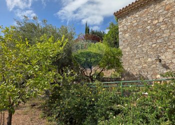 Giardino - Casa indipendente VIA GAROTTOLI
 
S.N.C., Maratea - foto 51