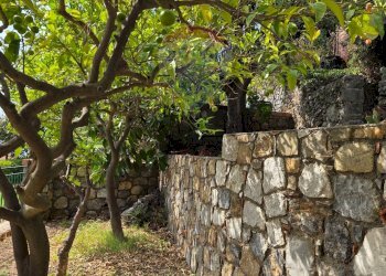 Giardino - Casa indipendente VIA GAROTTOLI
 
S.N.C., Maratea - foto 56