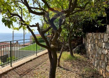 Giardino - Casa indipendente VIA GAROTTOLI
 
S.N.C., Maratea - foto 57
