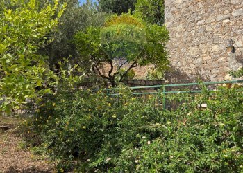 Giardino - Casa indipendente VIA GAROTTOLI
 
S.N.C., Maratea - foto 58