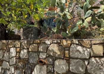 Giardino - Casa indipendente VIA GAROTTOLI
 
S.N.C., Maratea - foto 59