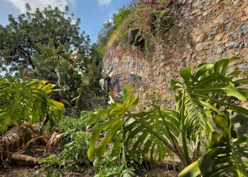 Giardino - Casa indipendente VIA GAROTTOLI
 
S.N.C., Maratea - foto 66