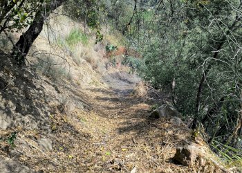 Giardino - Rustico SP 7 (C.da Costa Galluzzo), Graniti - foto 20