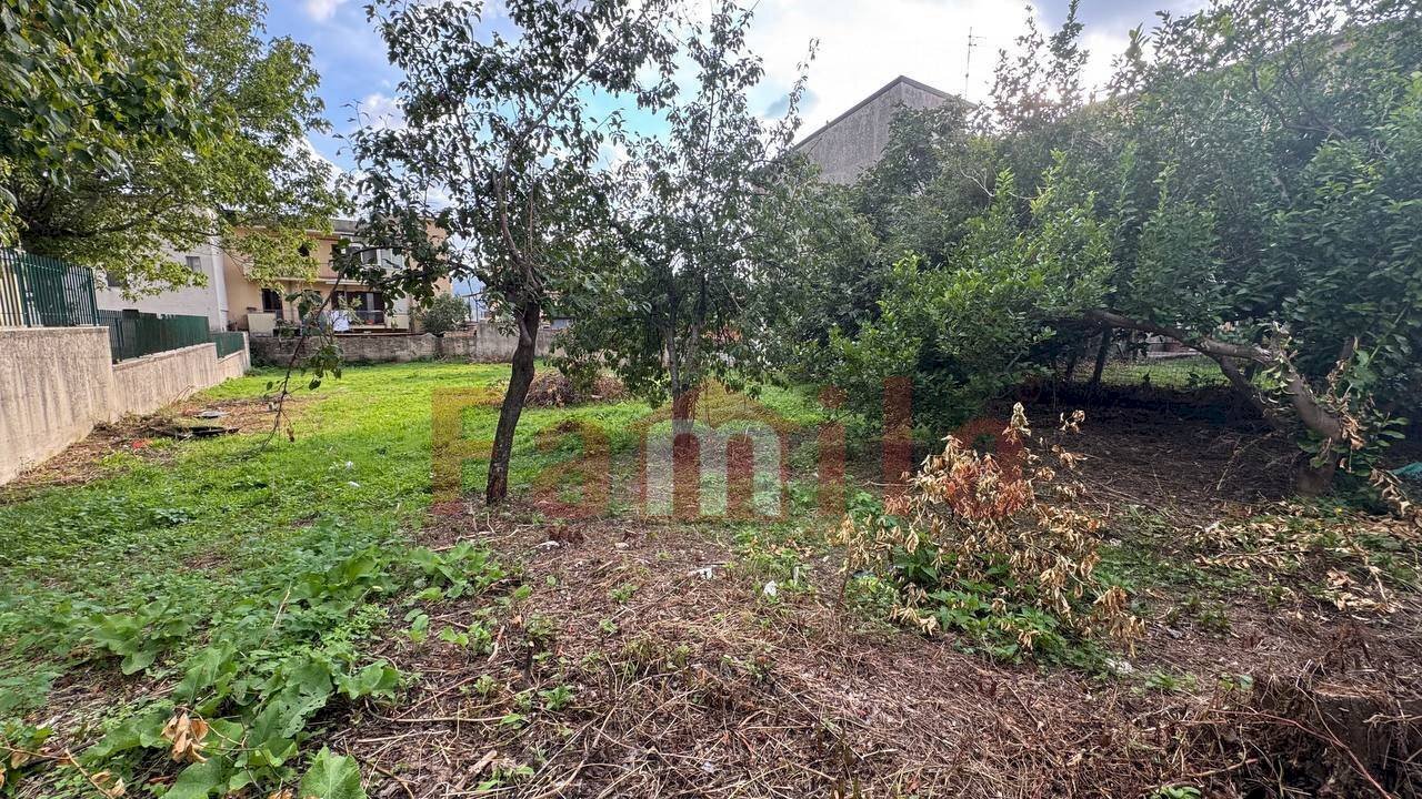 Foto 3 - Terreno edificabile Quadrelle - foto 3