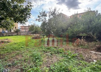 Foto 1 - Terreno edificabile Quadrelle - foto 1