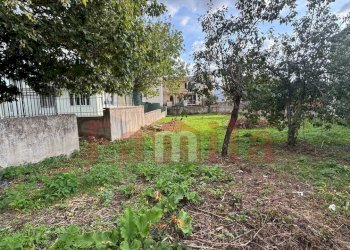 Foto 2 - Terreno edificabile Quadrelle - foto 2