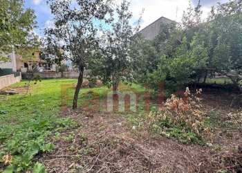 Foto 3 - Terreno edificabile Quadrelle - foto 3