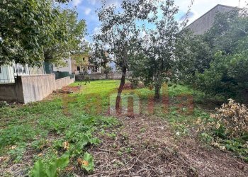 Foto 4 - Terreno edificabile Quadrelle - foto 4