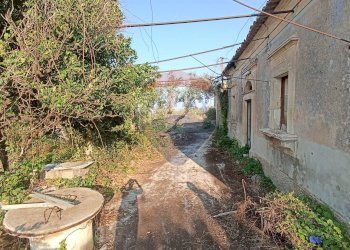 Giardino - Rustico contrada geraldo
 
sn, Chiaramonte Gulfi - foto 3
