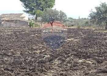 Giardino - Rustico contrada geraldo
 
sn, Chiaramonte Gulfi - foto 15