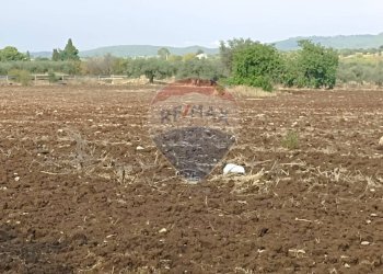 Vista delle montagne - Rustico contrada geraldo
 
sn, Chiaramonte Gulfi - foto 16