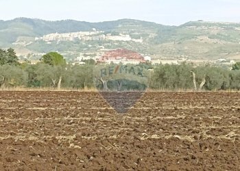 Vista delle montagne - Rustico contrada geraldo
 
sn, Chiaramonte Gulfi - foto 18
