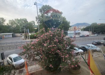 Edificio all\'aperto - Quadrilocale Via Leonardo  da Vinci
 
518, Palermo - foto 11