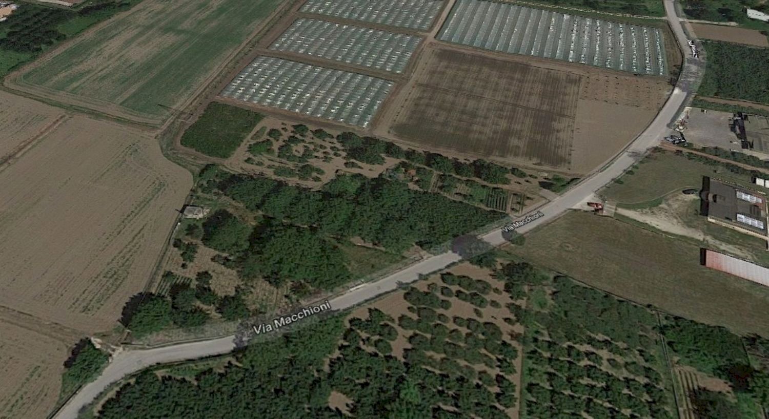 terreno - Terreno agricolo MACCHIONI, Montoro - foto 1