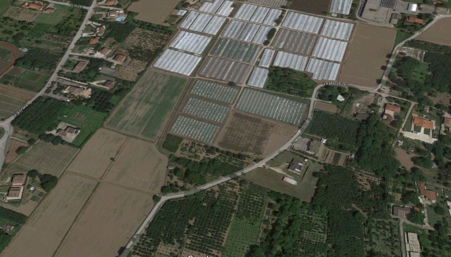 terreno - Terreno agricolo MACCHIONI, Montoro - foto 3