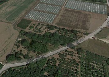 terreno - Terreno agricolo MACCHIONI, Montoro - foto 1