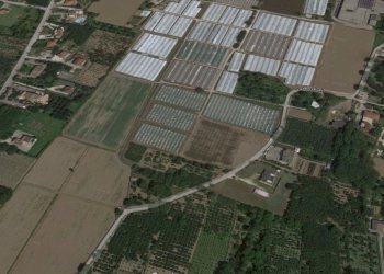 terreno - Terreno agricolo MACCHIONI, Montoro - foto 3
