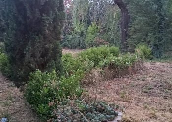 Foto 27 - Stabile - Palazzo zona  Cancello
 
S.N.C, Maddaloni - foto 27