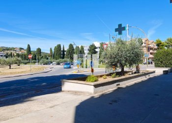 Foto 24 - Commercial Premises Via Nazionale
 
1, Roseto degli Abruzzi - photo 24