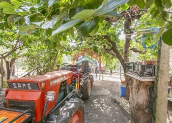 Foto 38 - Villa strada vicinale della macina
 
14, Genzano di Roma - foto 38