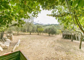 Foto 35 - Villa strada vicinale della macina
 
14, Genzano di Roma - foto 35