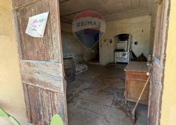 Non correlato - Rustic Paterno, San Gimignano - photo 10