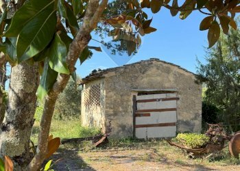 Casa all\'aperto - Rustic Paterno, San Gimignano - photo 12
