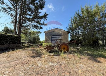 Casa all\'aperto - Rustic Paterno, San Gimignano - photo 13