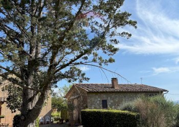 Giardino - Rustic Paterno, San Gimignano - photo 25