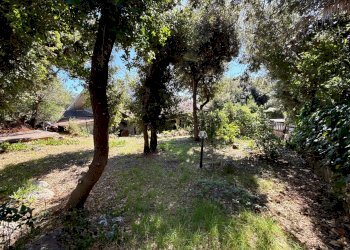 Foto 14 - Villa VIA DELLE GARDENIE, Orbetello - foto 14