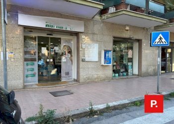 Foto 9 - Locale Commerciale via Gian Lorenzo Bernini, Caserta - foto 9