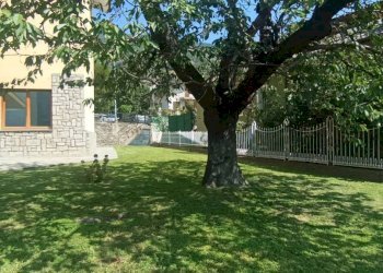 Giardino - Bilocale Frazione Clou, Sarre - foto 12