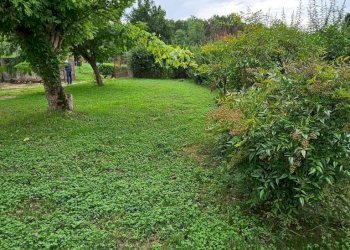 Terreno - Rustic Frazione Barcara, 47, Refrancore - photo 4