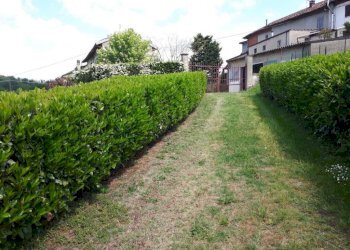 Terreno - Rustic Frazione Barcara, 47, Refrancore - photo 6