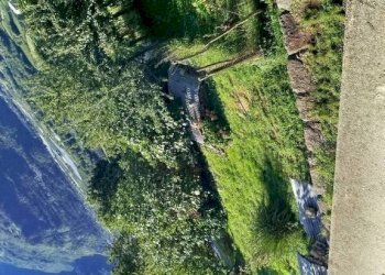 Terreno - Rustico via Sant'Antonio, 132, Tresivio - foto 6