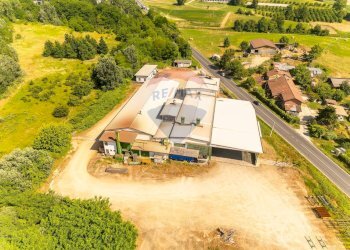 Capannone Via Nazionale, 77 
 Baldichieri d'Asti, Baldichieri d'Asti - foto 8