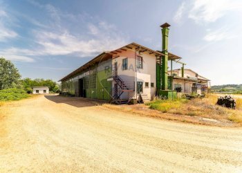 Capannone Via Nazionale, 77 
 Baldichieri d'Asti, Baldichieri d'Asti - foto 41